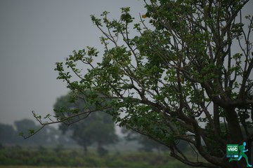 NÔNG THÔN VIỆT MARATHON - NGHỆ AN 2023 - Ảnh #426120