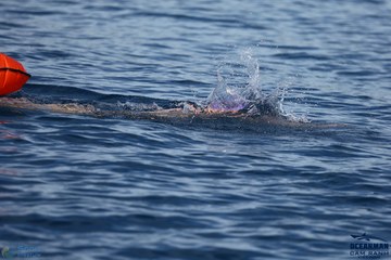THE ARENA OCEANMAN CAM RANH VIỆT NAM 2023 - Ảnh #591486
