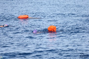 THE ARENA OCEANMAN CAM RANH VIỆT NAM 2023 - Ảnh #595556
