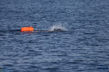 THE ARENA OCEANMAN CAM RANH VIỆT NAM 2023 - Ảnh #590251