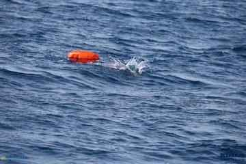THE ARENA OCEANMAN CAM RANH VIỆT NAM 2023 - Ảnh #596106