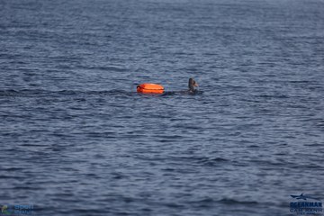 THE ARENA OCEANMAN CAM RANH VIỆT NAM 2023 - Ảnh #586988