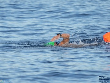 THE ARENA OCEANMAN CAM RANH VIỆT NAM 2023 - Ảnh #588109