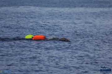 THE ARENA OCEANMAN CAM RANH VIỆT NAM 2023 - Ảnh #586810