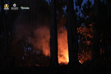 PRENN TRAIL CHALLENGE 2023 - Ảnh #1214577