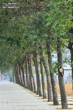 BINH DUONG NEW CITY HALF MARATHON 2024 - Ảnh #1724194