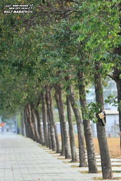 BINH DUONG NEW CITY HALF MARATHON 2024 - Ảnh #1724196
