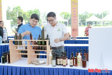 BƯỚC CHẠY CHÀO XUÂN THÀNH PHỐ QUẢNG NGÃI 2024 - Ảnh #1198591