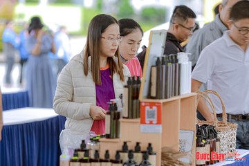 BƯỚC CHẠY CHÀO XUÂN THÀNH PHỐ QUẢNG NGÃI 2024 - Ảnh #1198426