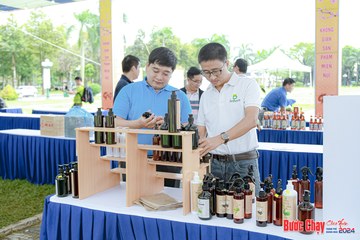 BƯỚC CHẠY CHÀO XUÂN THÀNH PHỐ QUẢNG NGÃI 2024 - Ảnh #1198593