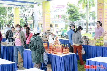 BƯỚC CHẠY CHÀO XUÂN THÀNH PHỐ QUẢNG NGÃI 2024 - Ảnh #1198609