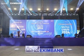 HO CHI MINH CITY NIGHT RUN EXIMBANK 2024 - Ảnh #1964178