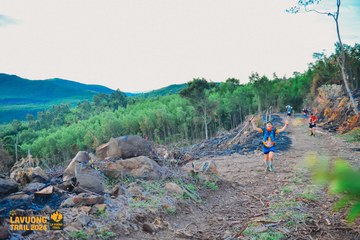 Fleur De Lys La Vuông Trail - Ảnh #2417400