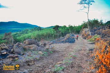 Fleur De Lys La Vuông Trail - Ảnh #2417454