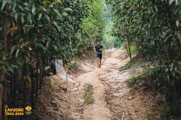 Fleur De Lys La Vuông Trail - Ảnh #2416699