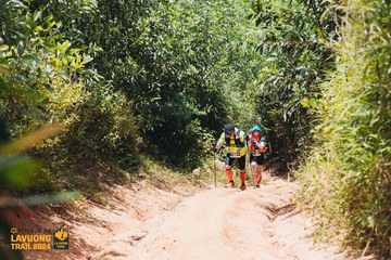 Fleur De Lys La Vuông Trail - Ảnh #2416530