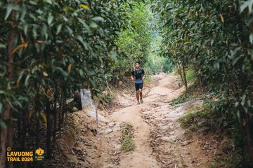 Fleur De Lys La Vuông Trail - Ảnh #2416701