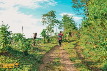 Fleur De Lys La Vuông Trail - Ảnh #2417653