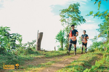 Fleur De Lys La Vuông Trail - Ảnh #2417684