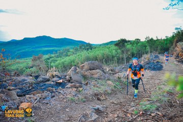 Fleur De Lys La Vuông Trail - Ảnh #2417391