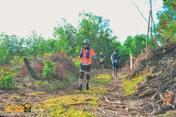 Fleur De Lys La Vuông Trail - Ảnh #2417855