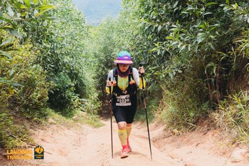 Fleur De Lys La Vuông Trail - Ảnh #2416357
