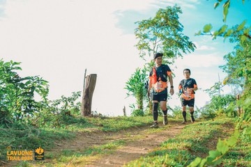 Fleur De Lys La Vuông Trail - Ảnh #2417683