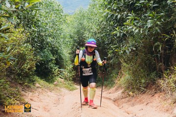 Fleur De Lys La Vuông Trail - Ảnh #2416354