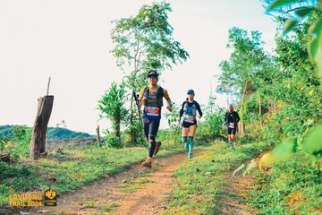 Fleur De Lys La Vuông Trail - Ảnh #2417604