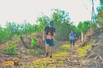 Fleur De Lys La Vuông Trail - Ảnh #2417892