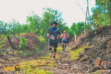 Fleur De Lys La Vuông Trail - Ảnh #2417864