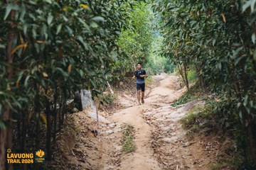 Fleur De Lys La Vuông Trail - Ảnh #2416700