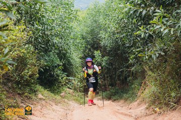 Fleur De Lys La Vuông Trail - Ảnh #2416338