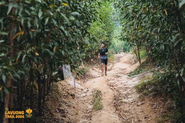 Fleur De Lys La Vuông Trail - Ảnh #2416704
