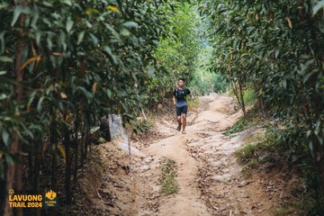 Fleur De Lys La Vuông Trail - Ảnh #2416703