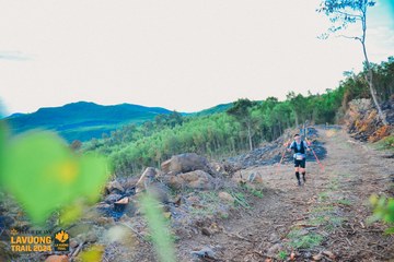 Fleur De Lys La Vuông Trail - Ảnh #2417439