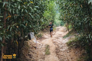 Fleur De Lys La Vuông Trail - Ảnh #2416702