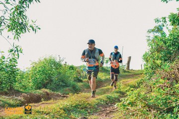 Fleur De Lys La Vuông Trail - Ảnh #2417761