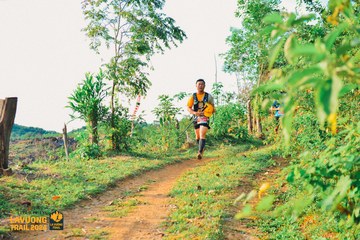 Fleur De Lys La Vuông Trail - Ảnh #2417622