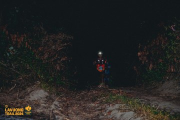 Fleur De Lys La Vuông Trail - Ảnh #2416979