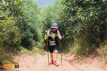 Fleur De Lys La Vuông Trail - Ảnh #2416353