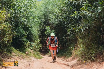 Fleur De Lys La Vuông Trail - Ảnh #2416386