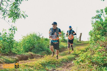 Fleur De Lys La Vuông Trail - Ảnh #2417764