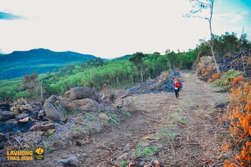 Fleur De Lys La Vuông Trail - Ảnh #2417456