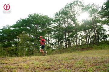 Ảnh sự kiện PRENN TRAIL SUMMIT 2024 - 006b4d57053d81dff3962731304c67b5.jpg