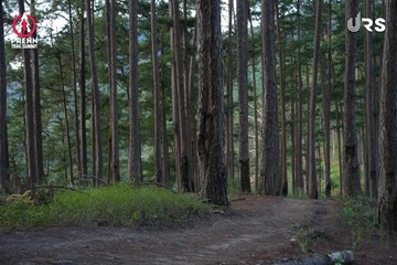 PRENN TRAIL SUMMIT 2024 - Ảnh #2970856