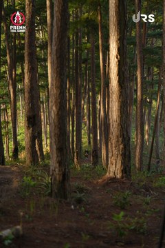 PRENN TRAIL SUMMIT 2024 - Ảnh #2967152