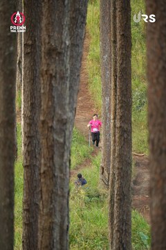 PRENN TRAIL SUMMIT 2024 - Ảnh #2971322