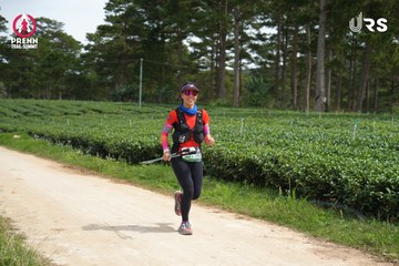 PRENN TRAIL SUMMIT 2024 - Ảnh #2968931