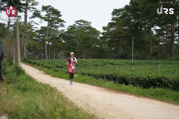 PRENN TRAIL SUMMIT 2024 - Ảnh #2969545